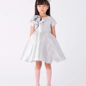 Elegant Silver Dress with Floral Accent